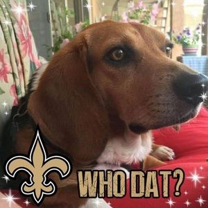 Meet your Posher, Gerald